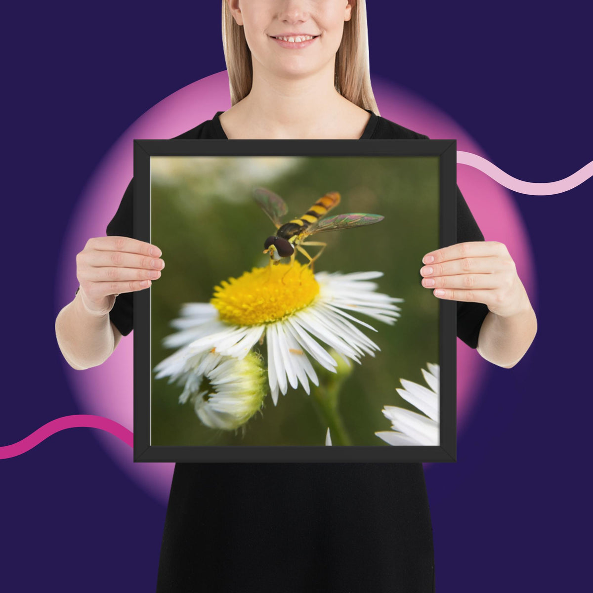 Framed poster image 7