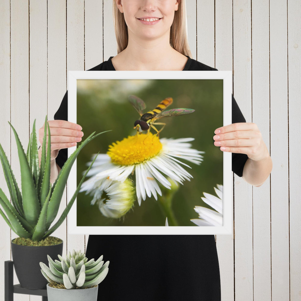 Framed poster image 7