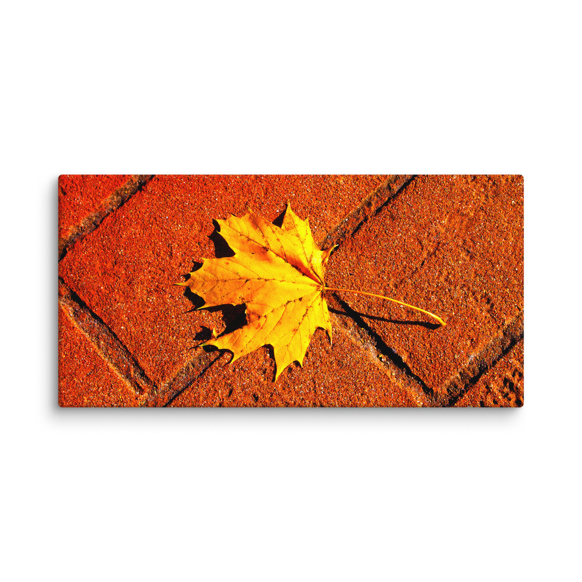 Canvas image 5