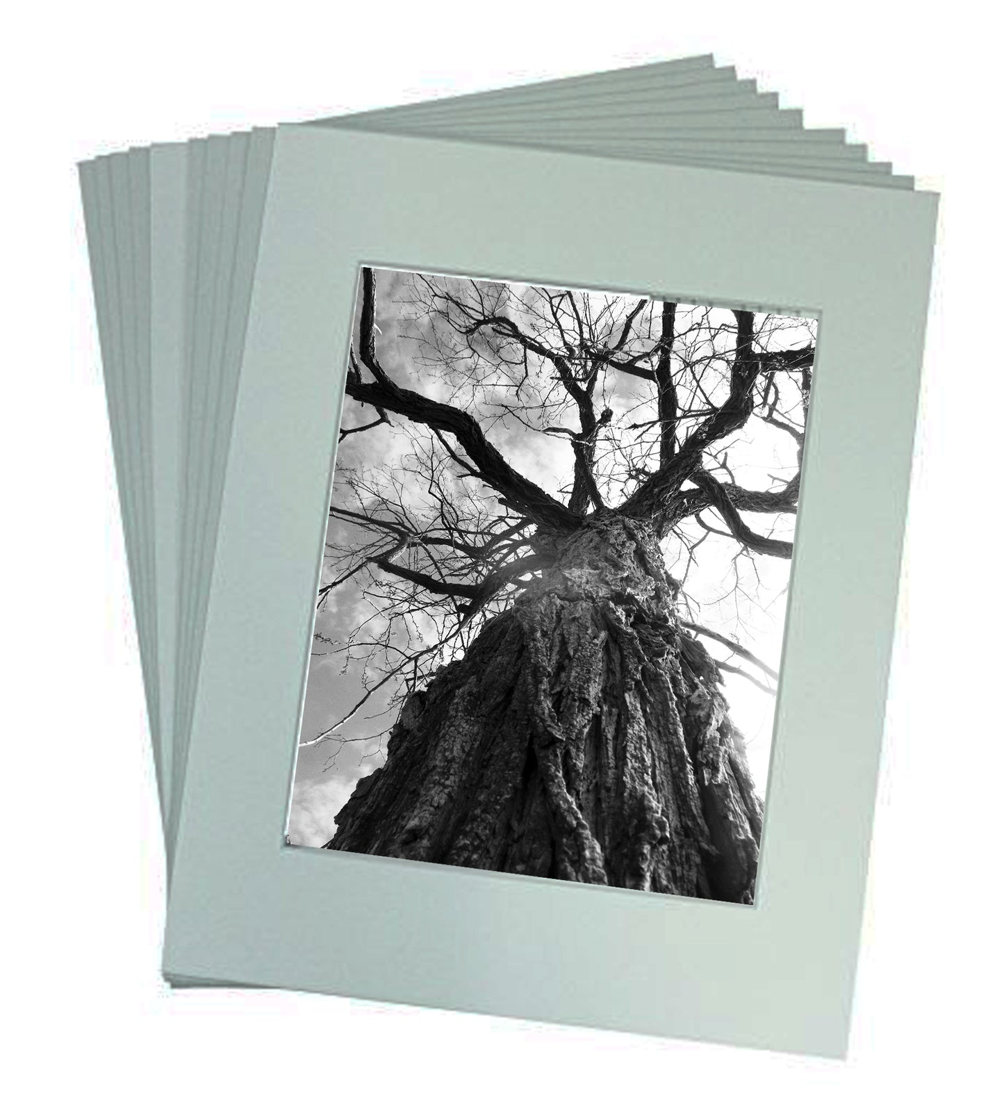 Black & white Art Prints from a Secret Paradise image 0