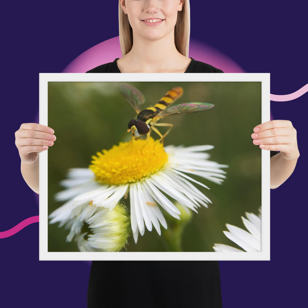 Framed poster image 20