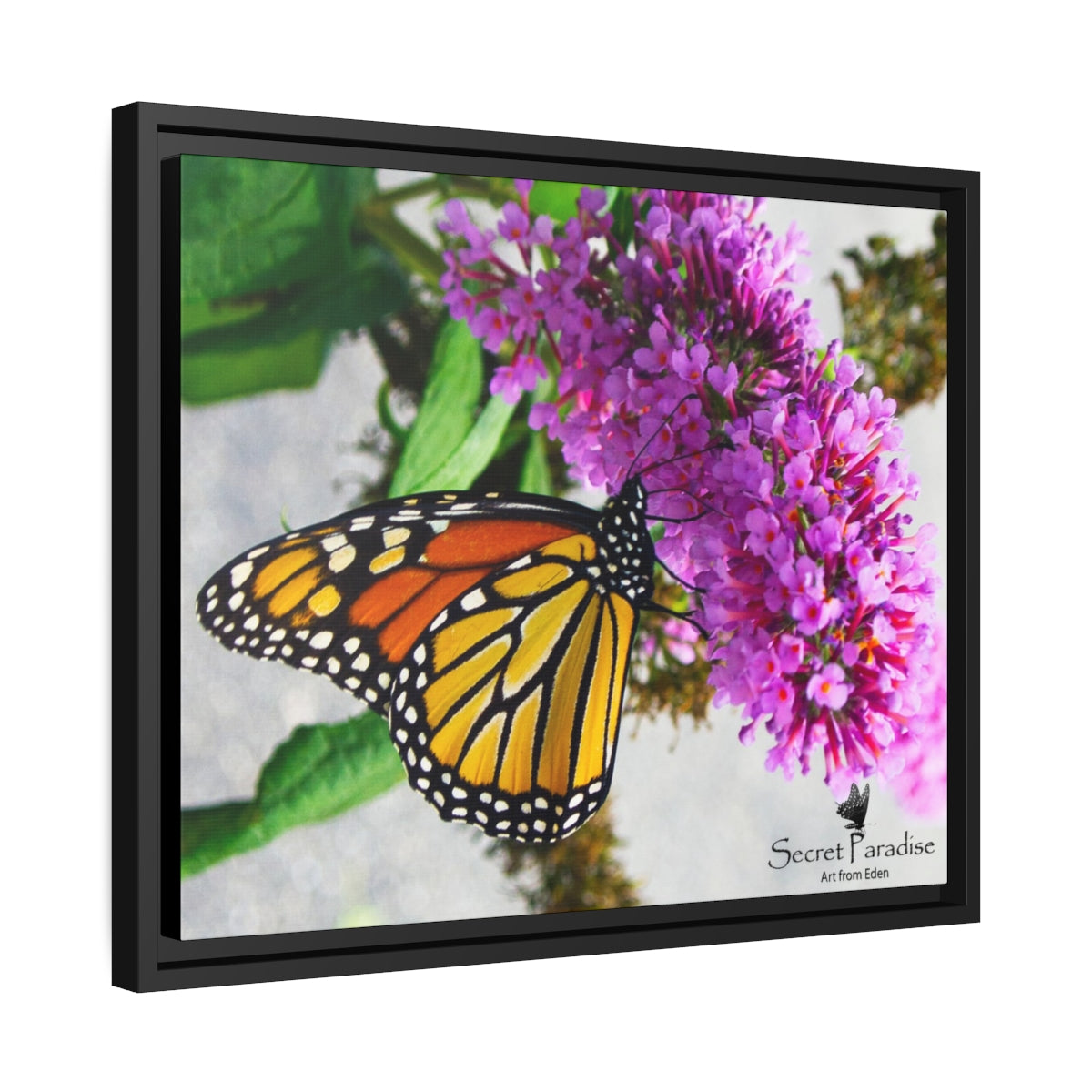 Matte Canvas, Black Frame image 0