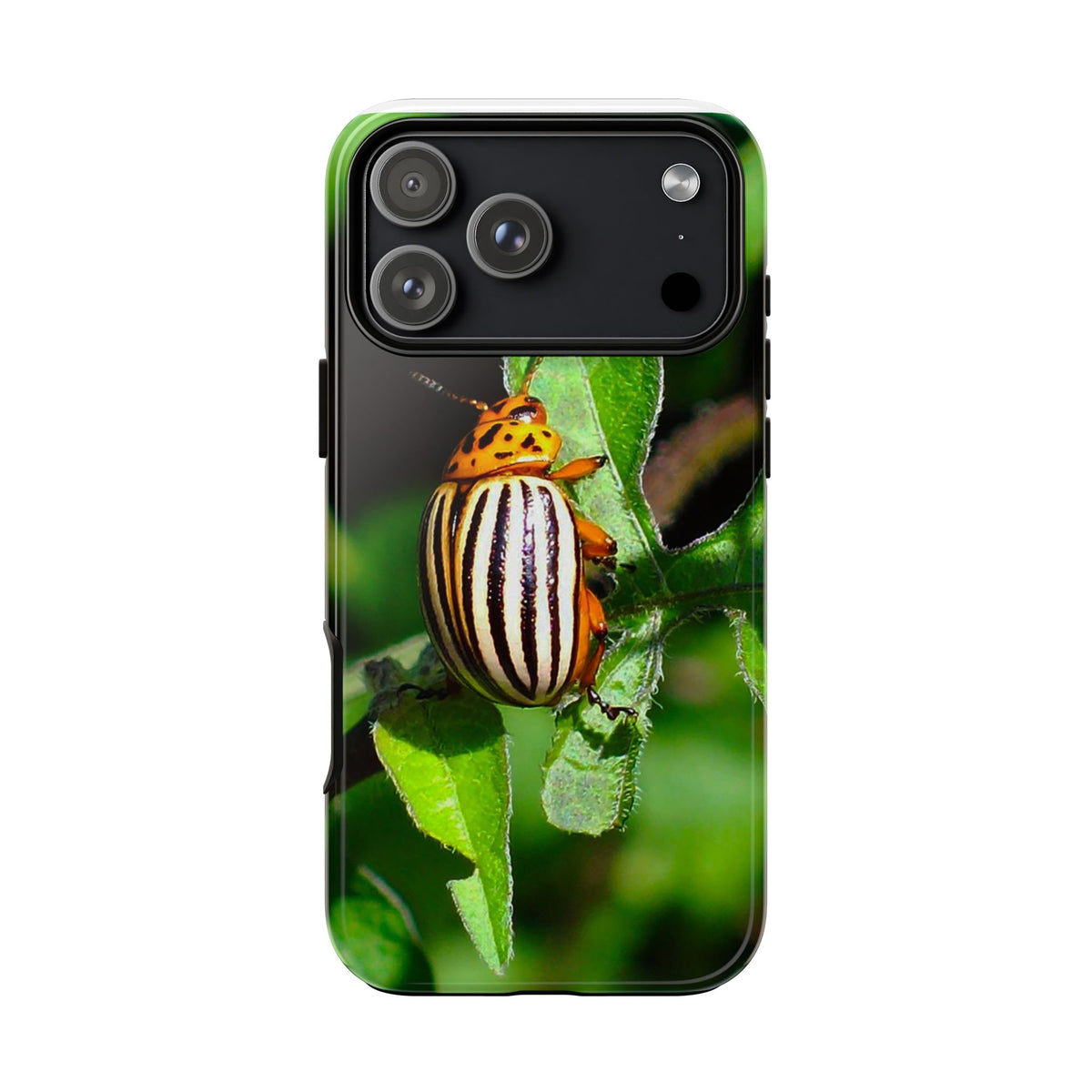 Striped Beetle Tough IPhone Case