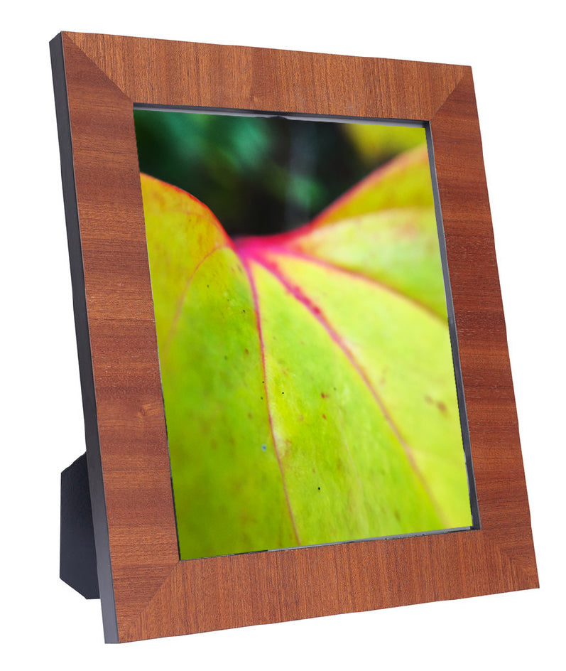 Framed Art Prints from a Secret Paradise image 0