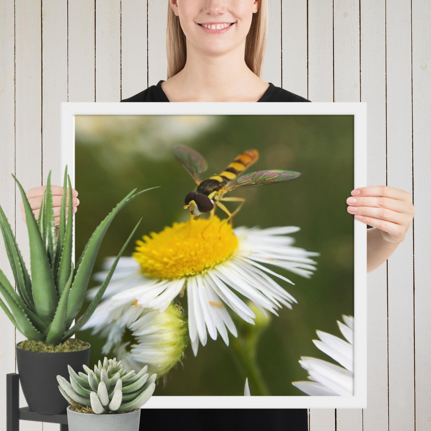 Framed poster image 10