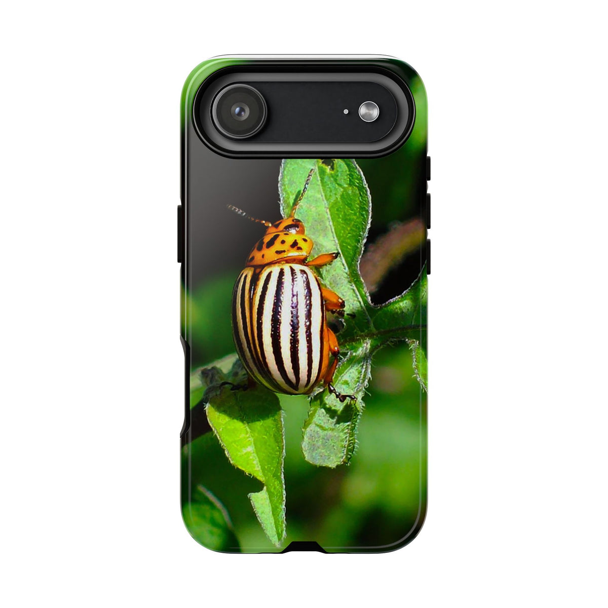 Striped Beetle Tough IPhone Case