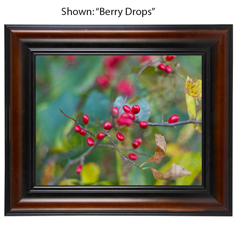 Framed Art Prints from a Secret Paradise image 0