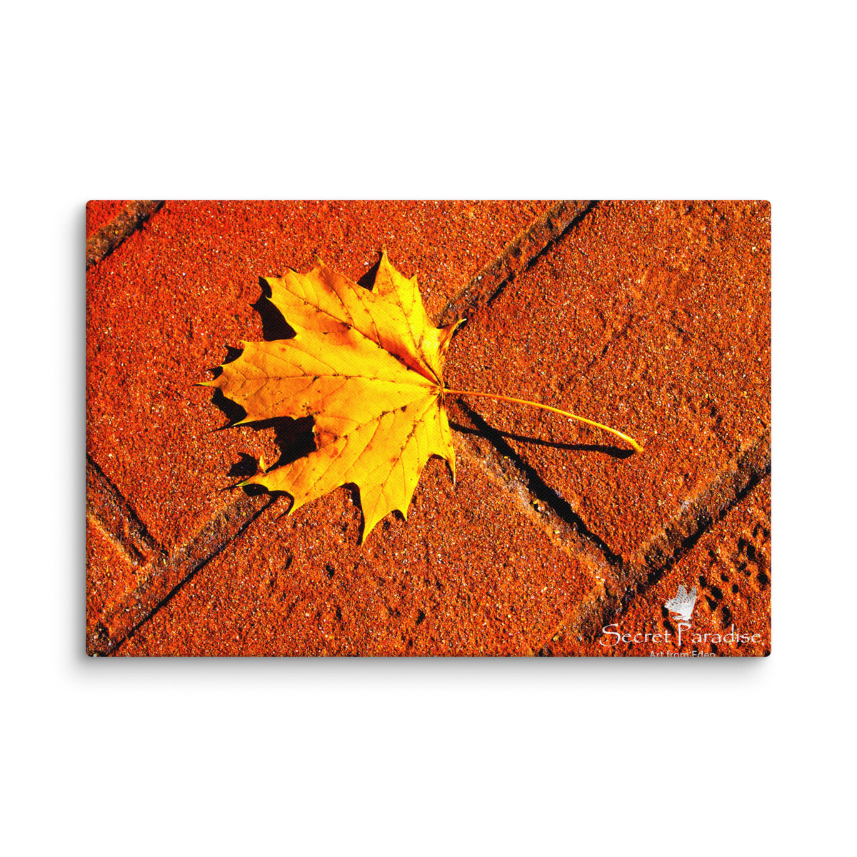 Canvas image 10