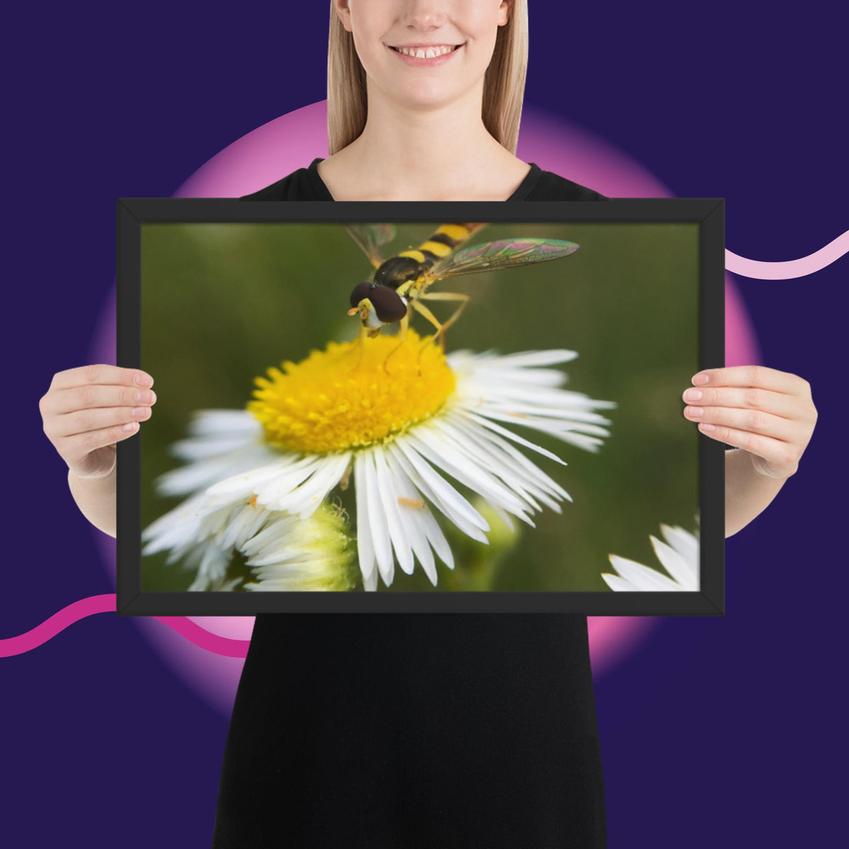 Framed poster image 6