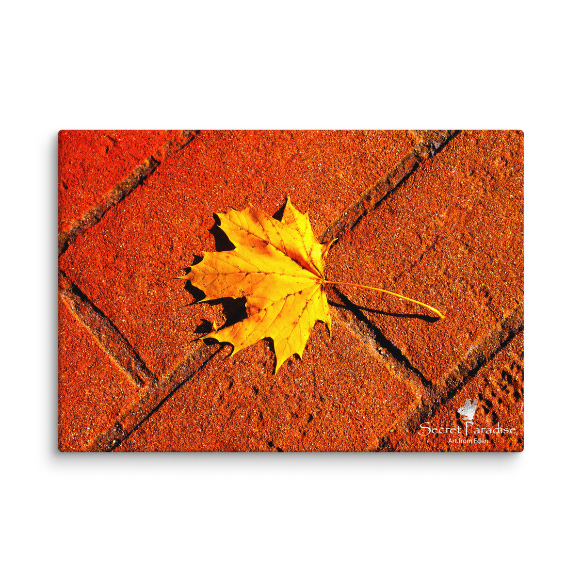 Canvas image 8