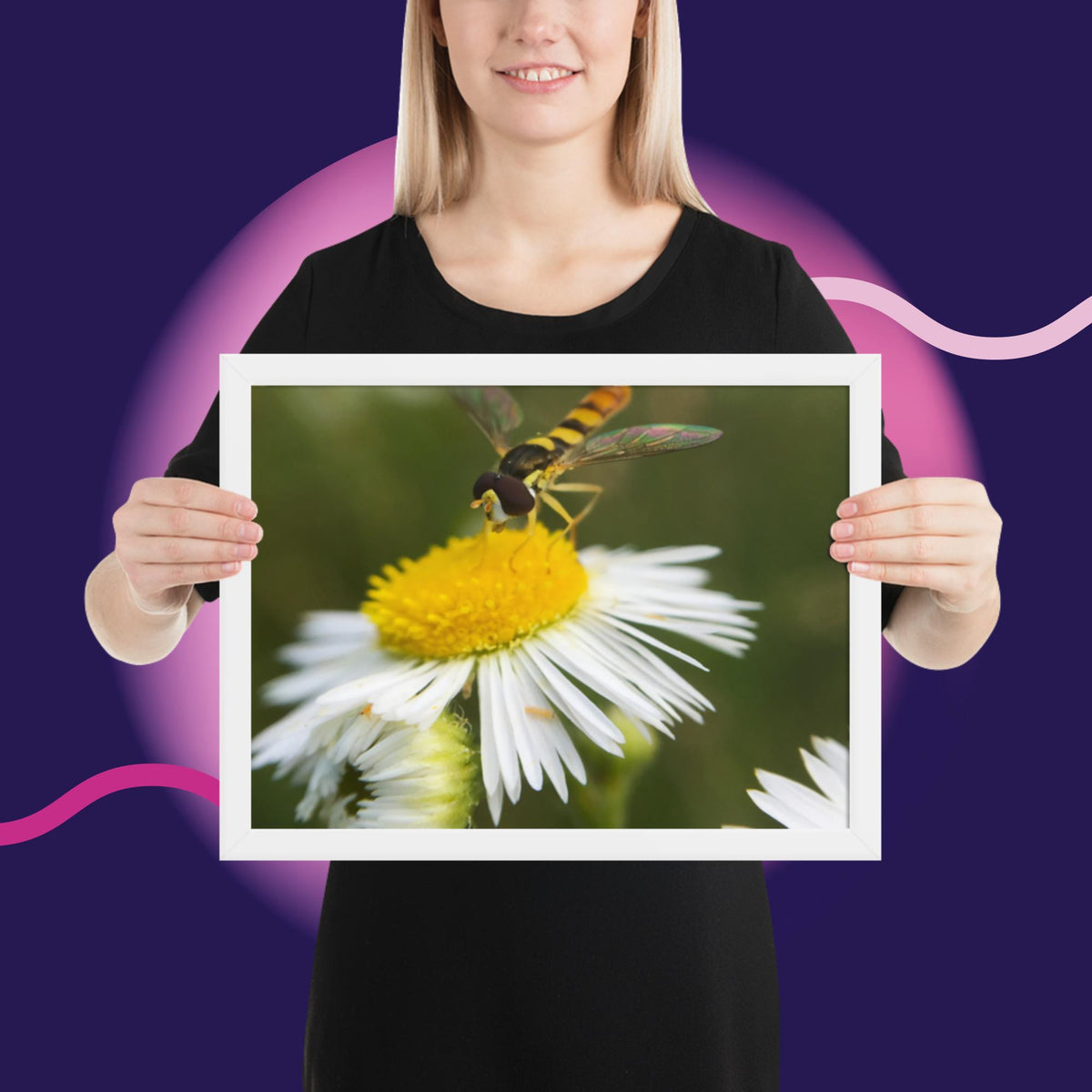 Framed poster image 16