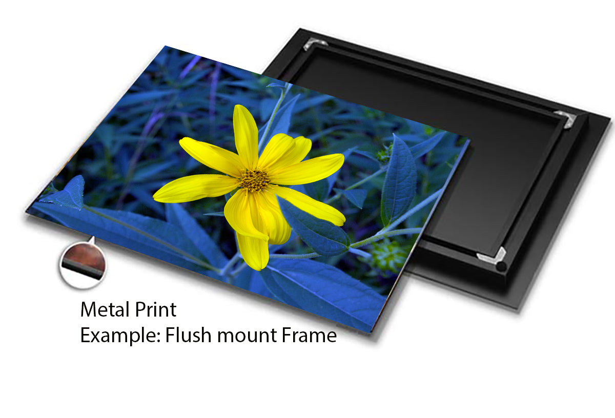 Canvas Wall Art Prints from a Secret Paradise image 1