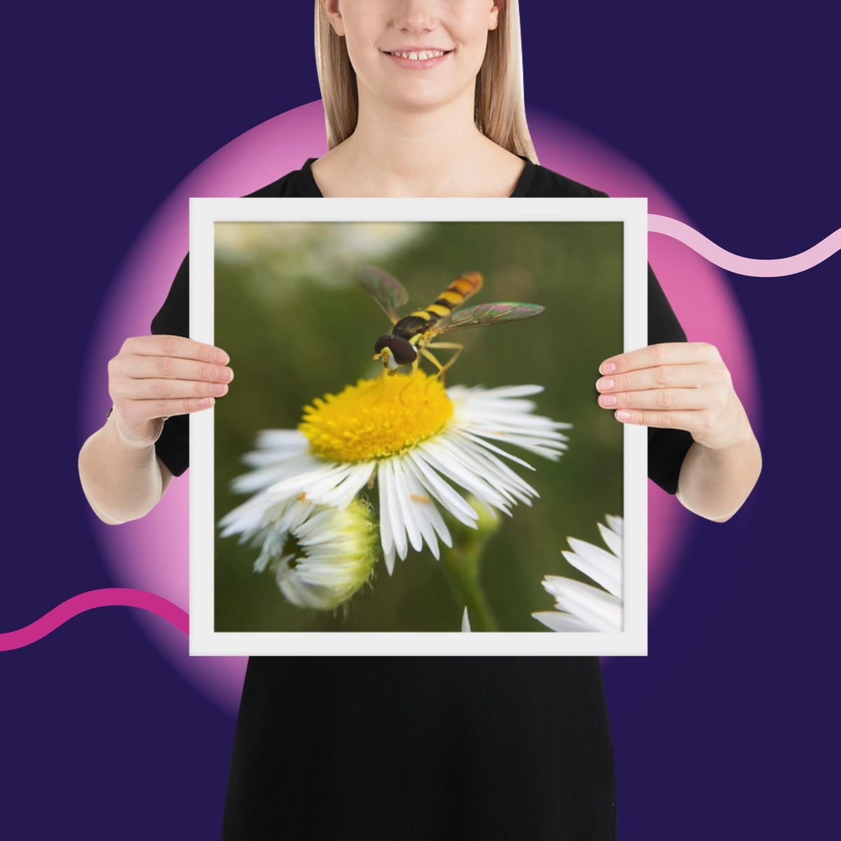 Framed poster image 18