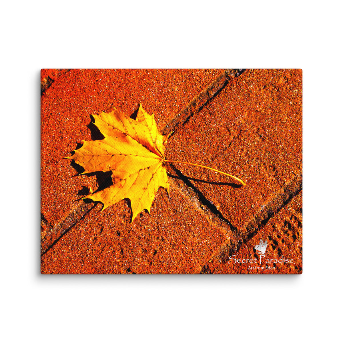 Canvas image 3