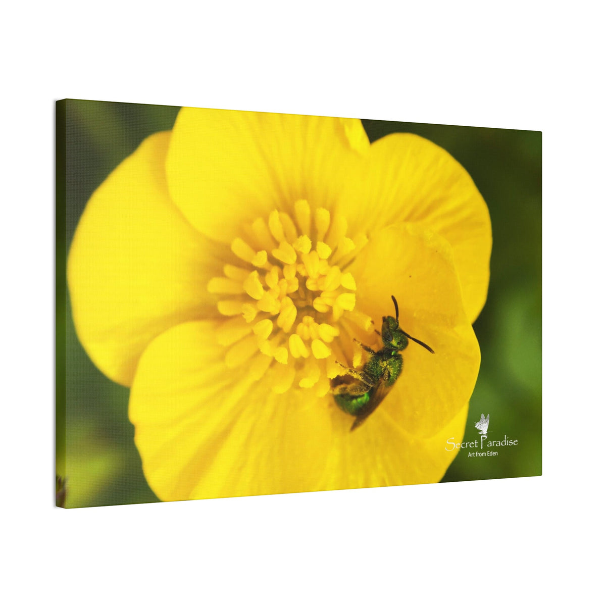 Canvas Stretched, 0.75"