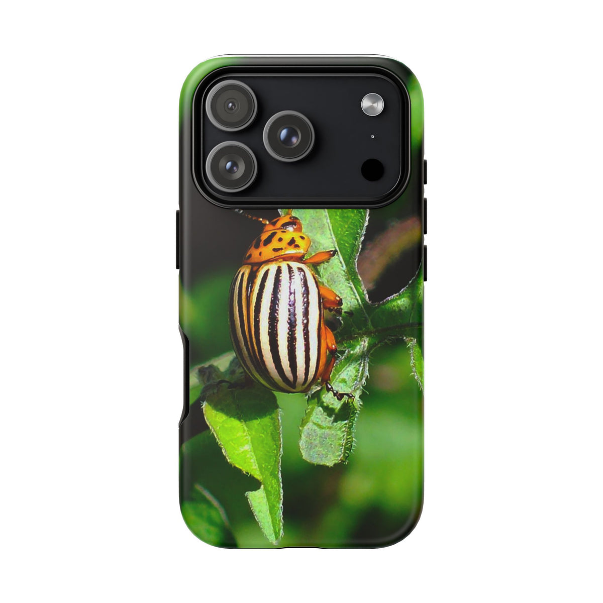 Striped Beetle Tough IPhone Case
