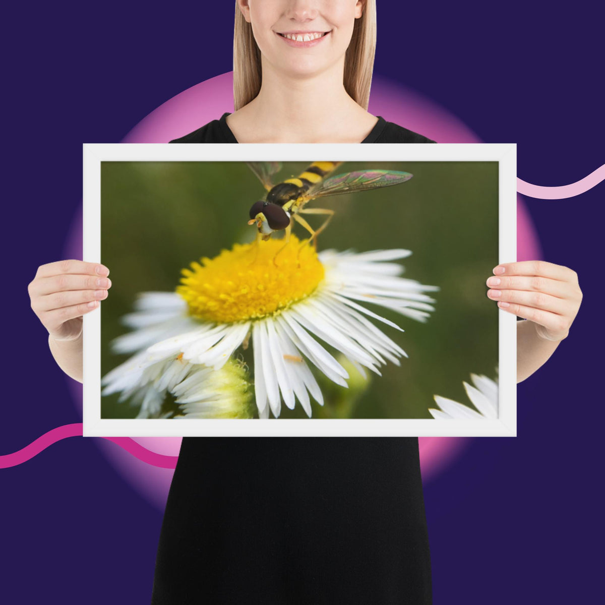 Framed poster image 17