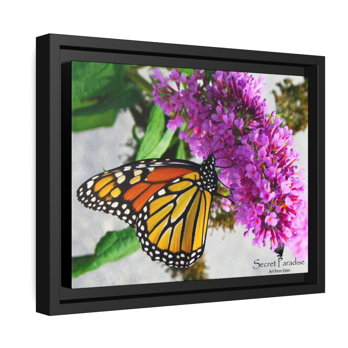 Matte Canvas, Black Frame image 1