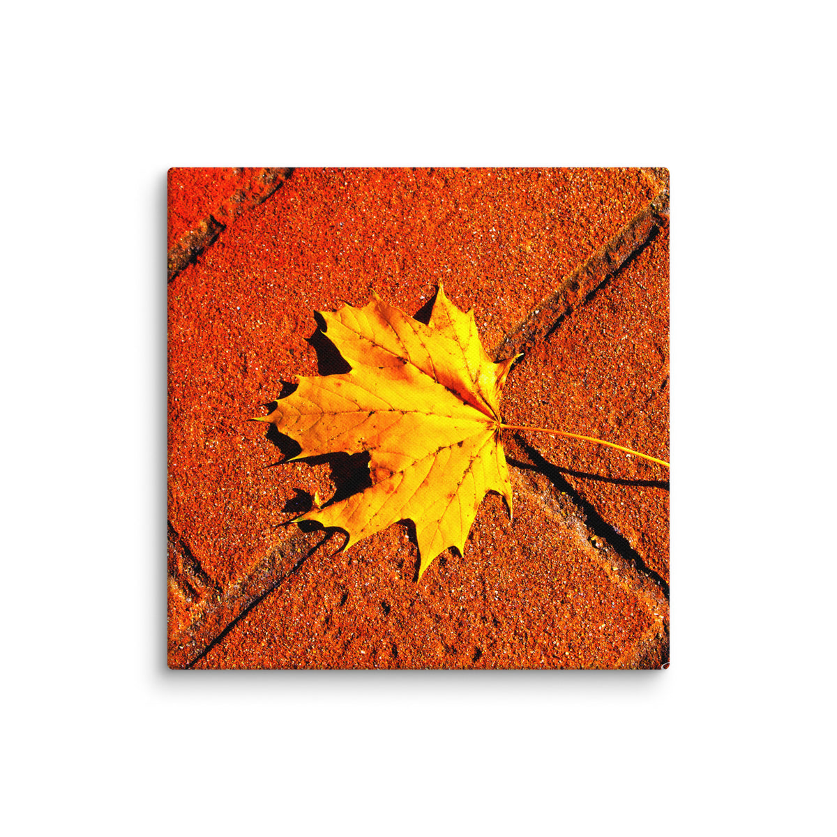 Canvas image 1