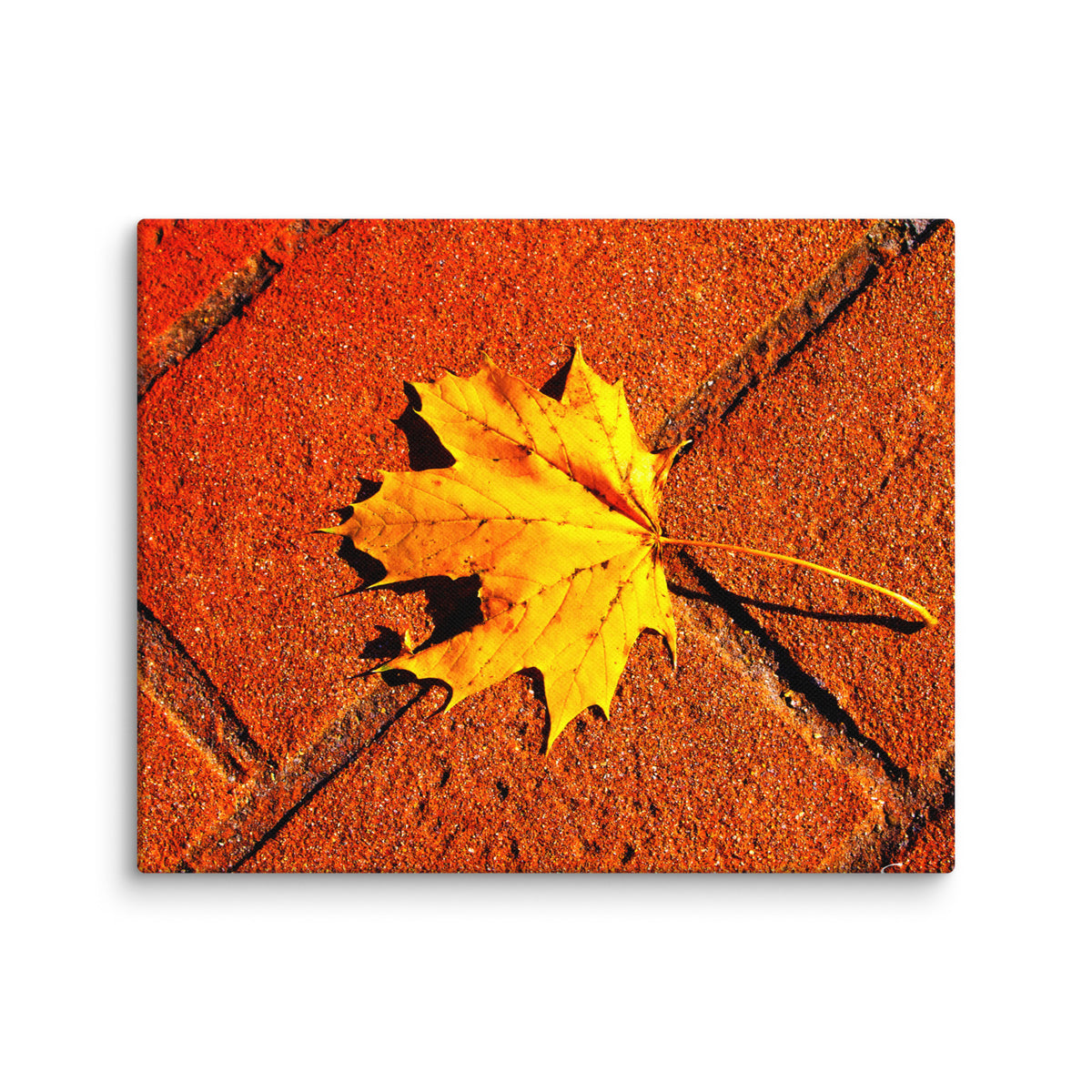 Canvas image 9