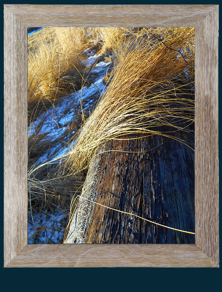 Art Prints from a Secret Paradise image 0