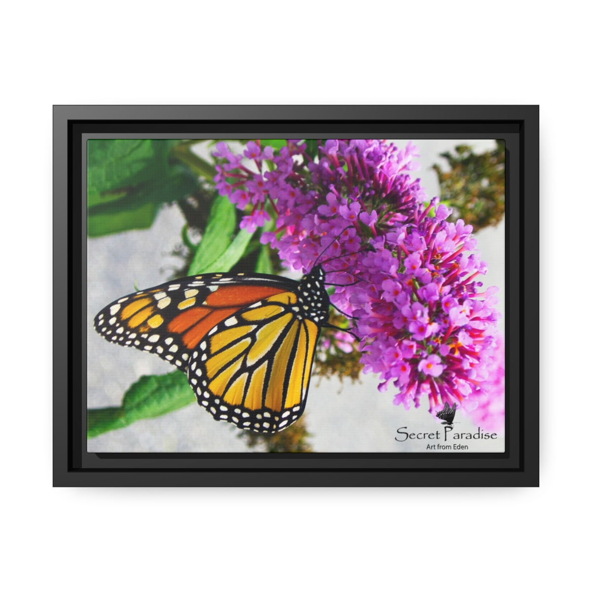 Matte Canvas, Black Frame image 5