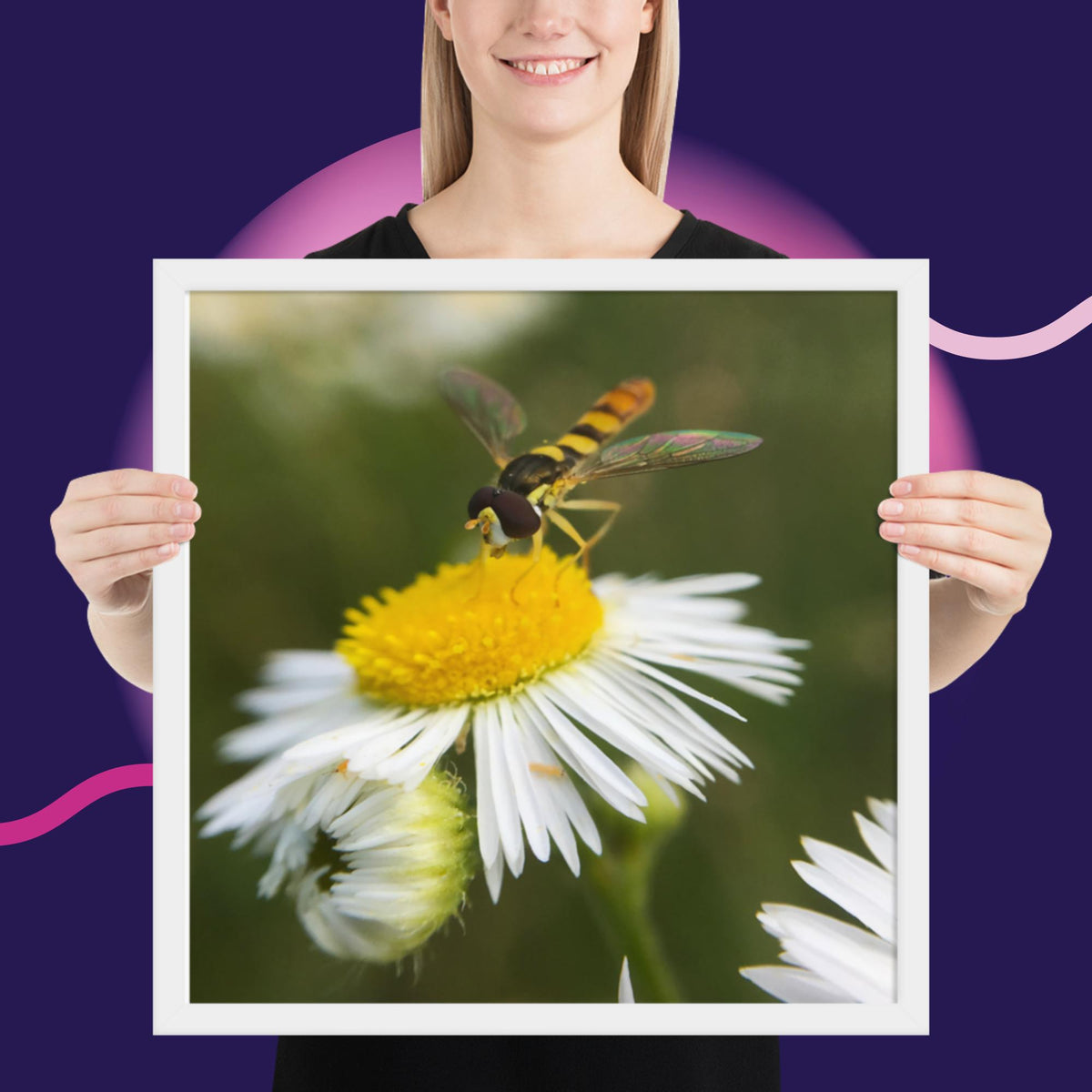 Framed poster image 21
