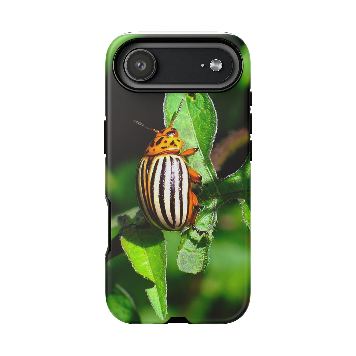 Striped Beetle Tough IPhone Case