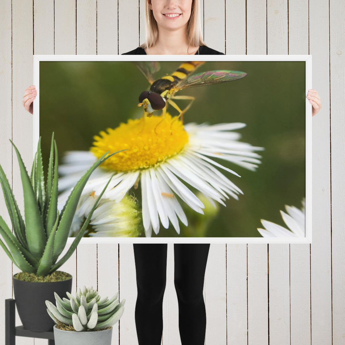 Framed poster image 11