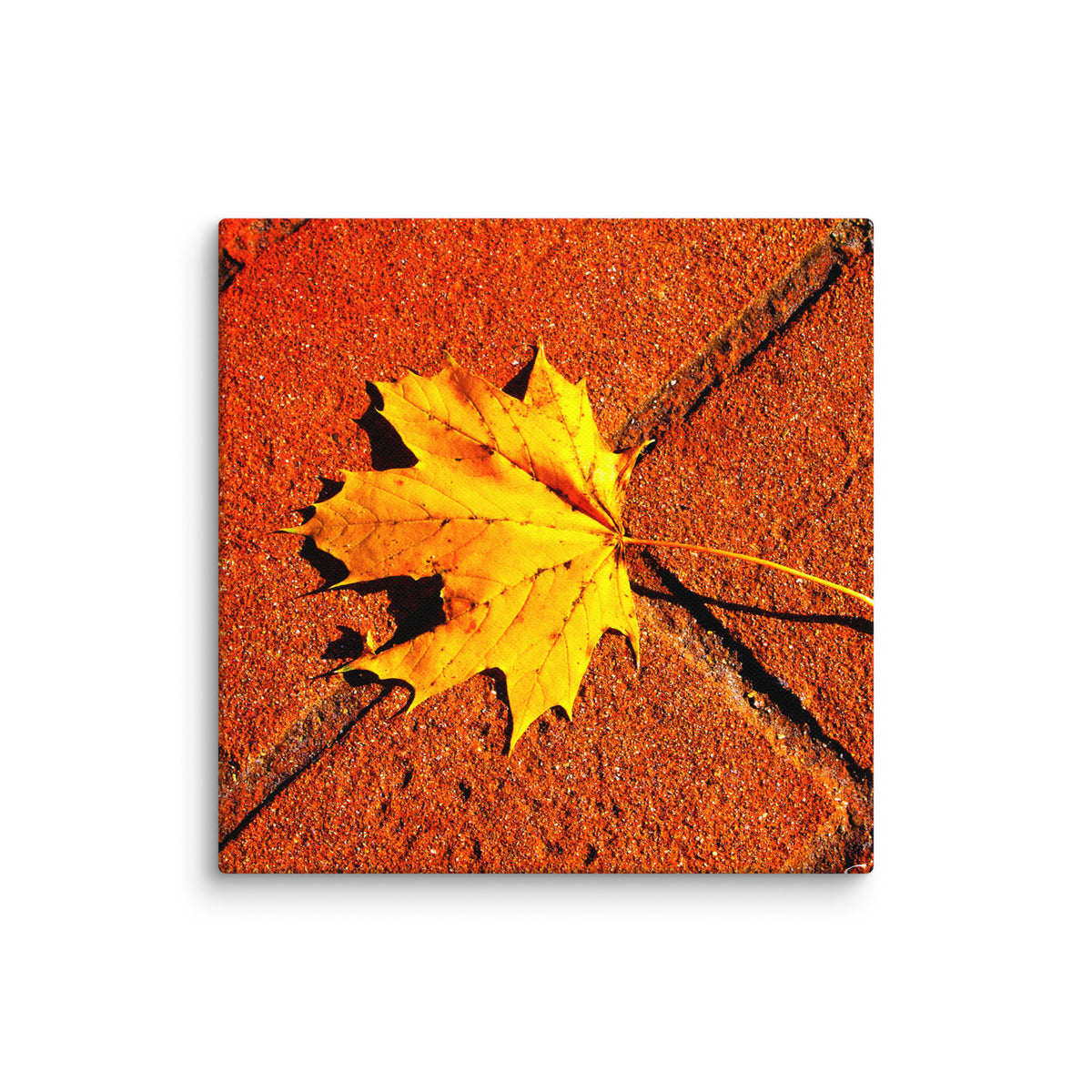 Canvas image 11