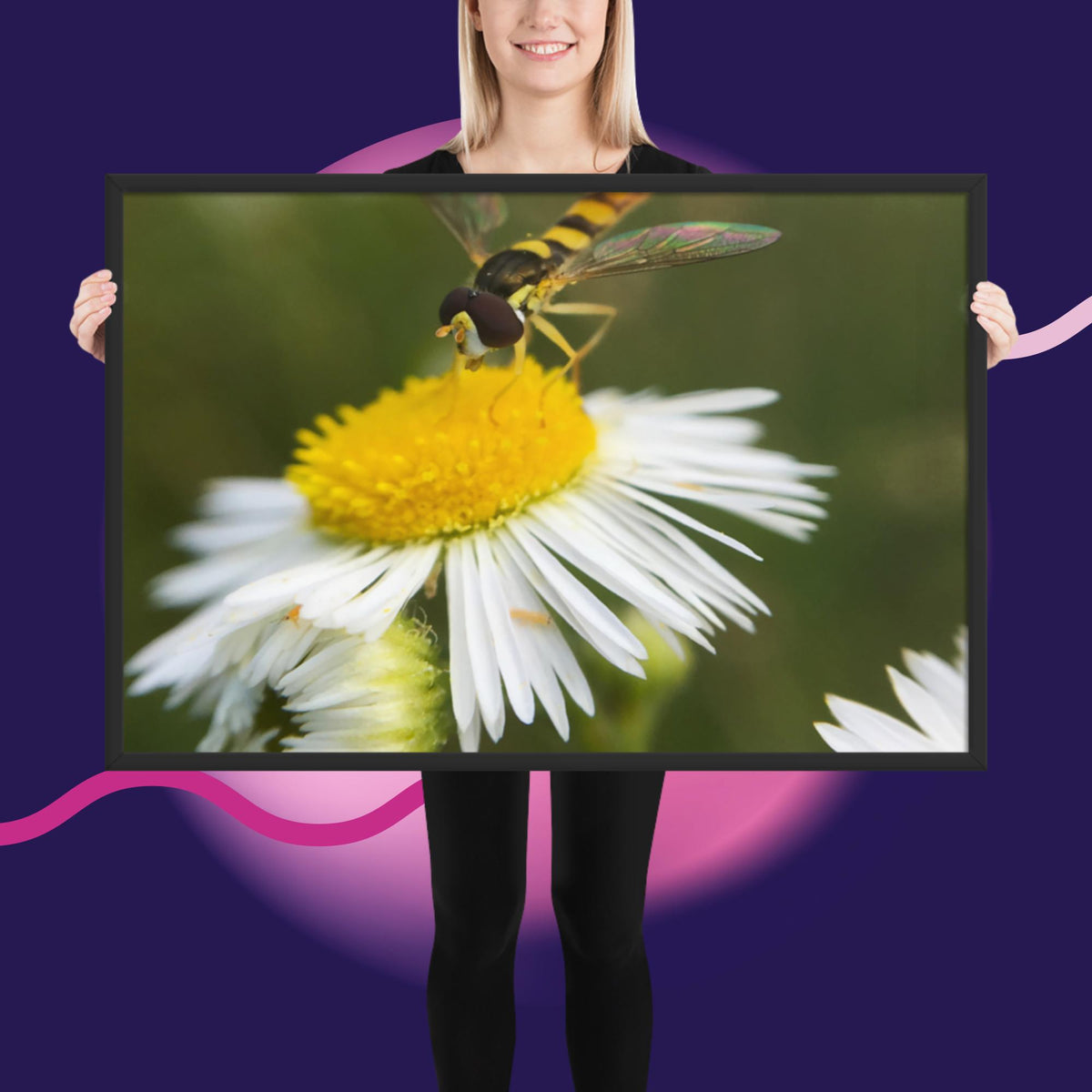 Framed poster image 11