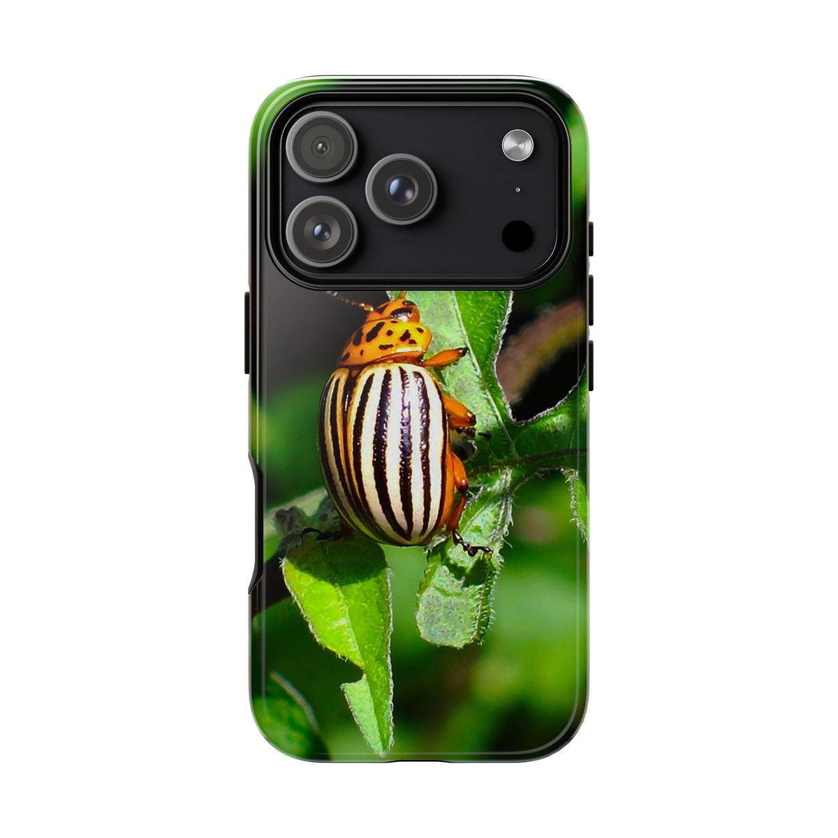 Striped Beetle Tough IPhone Case