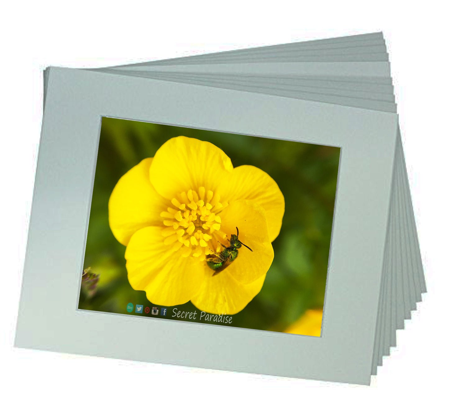 Framed Art Prints from a Secret Paradise image 1