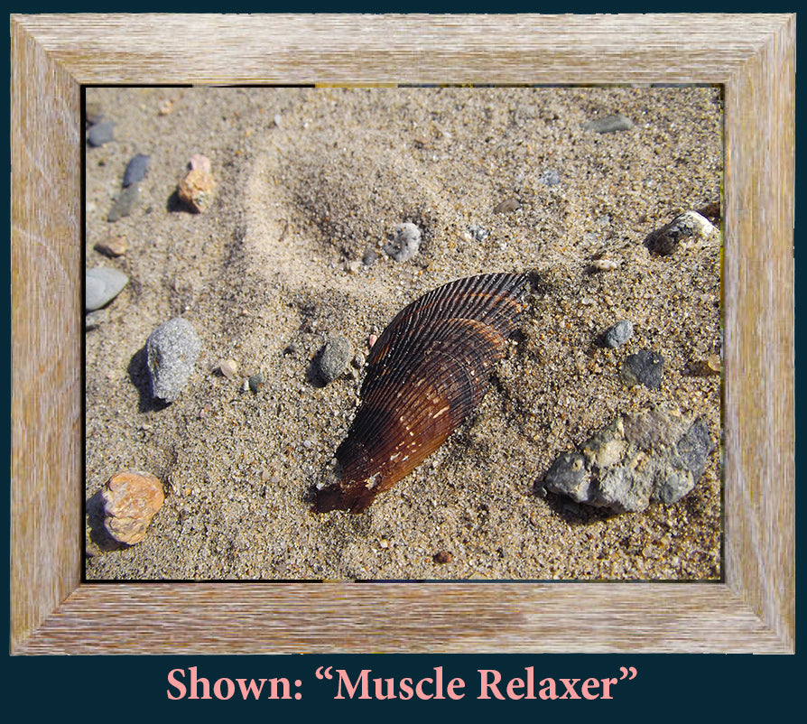 Art Prints from a Secret Paradise image 0