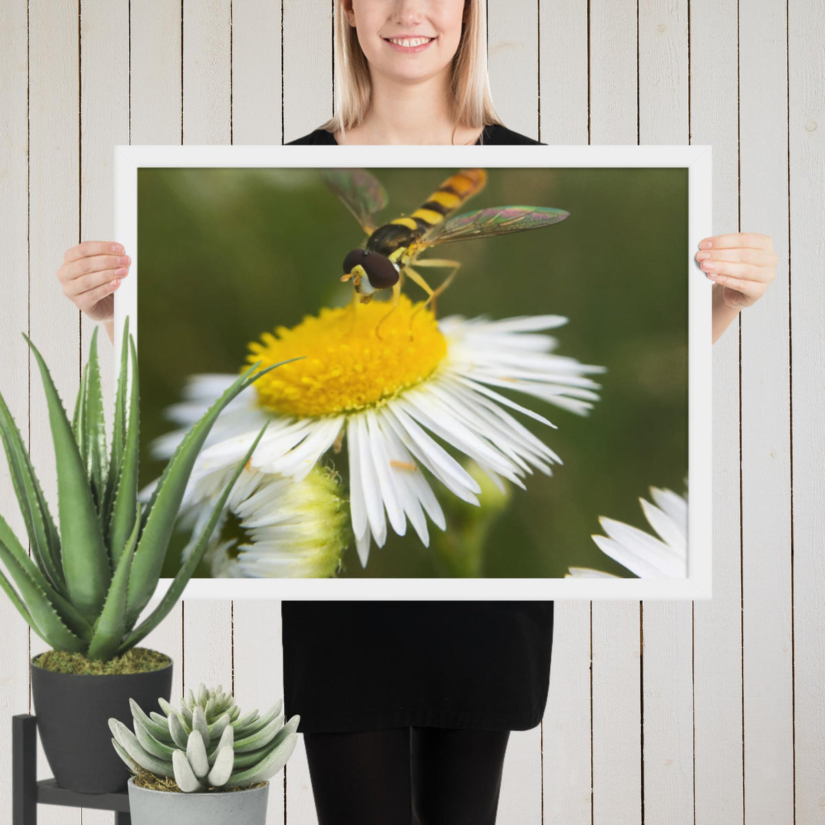 Framed poster image 0