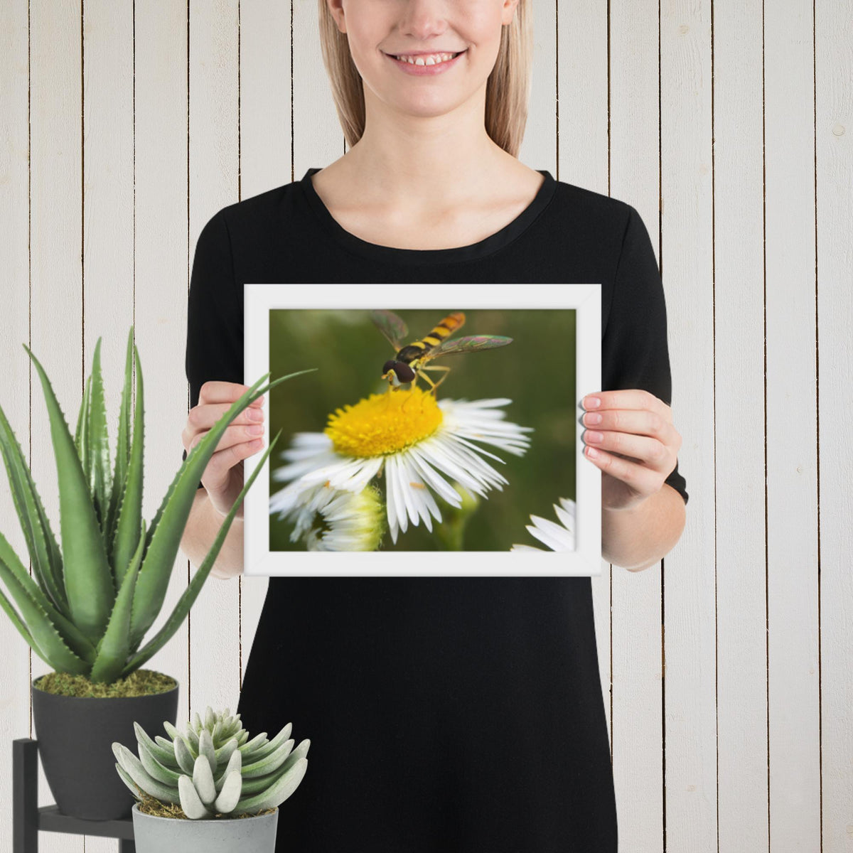 Framed poster image 1