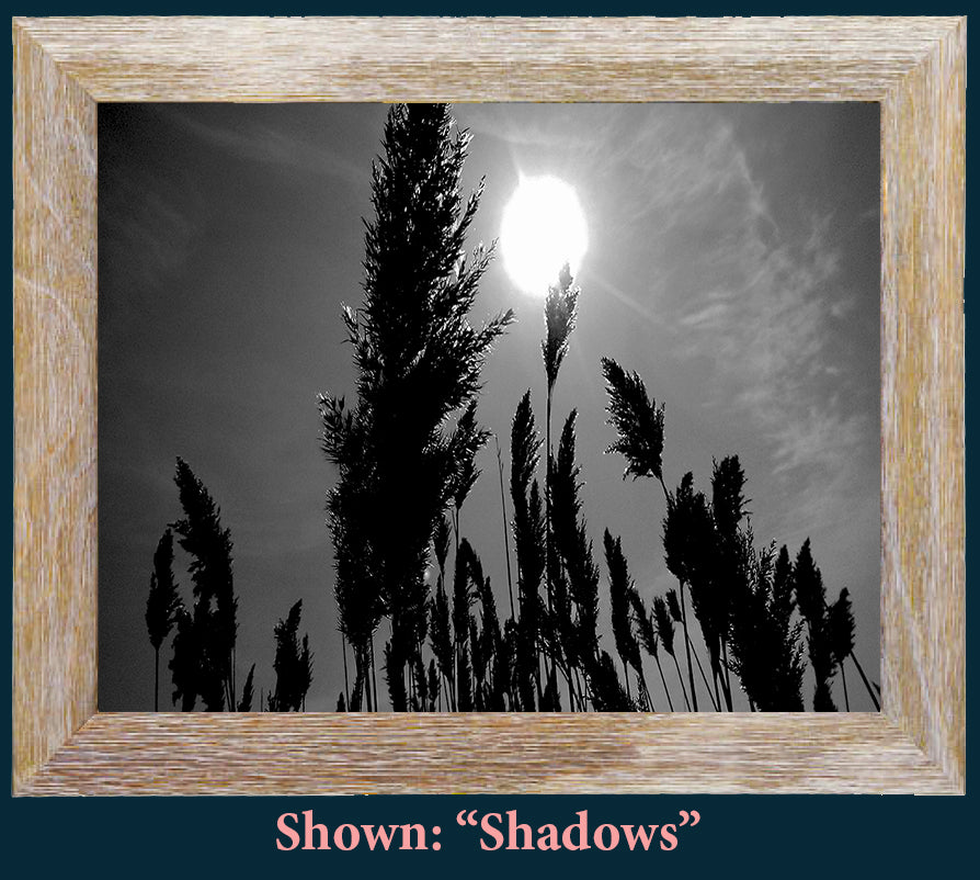 Art Prints from a Secret Paradise image 0