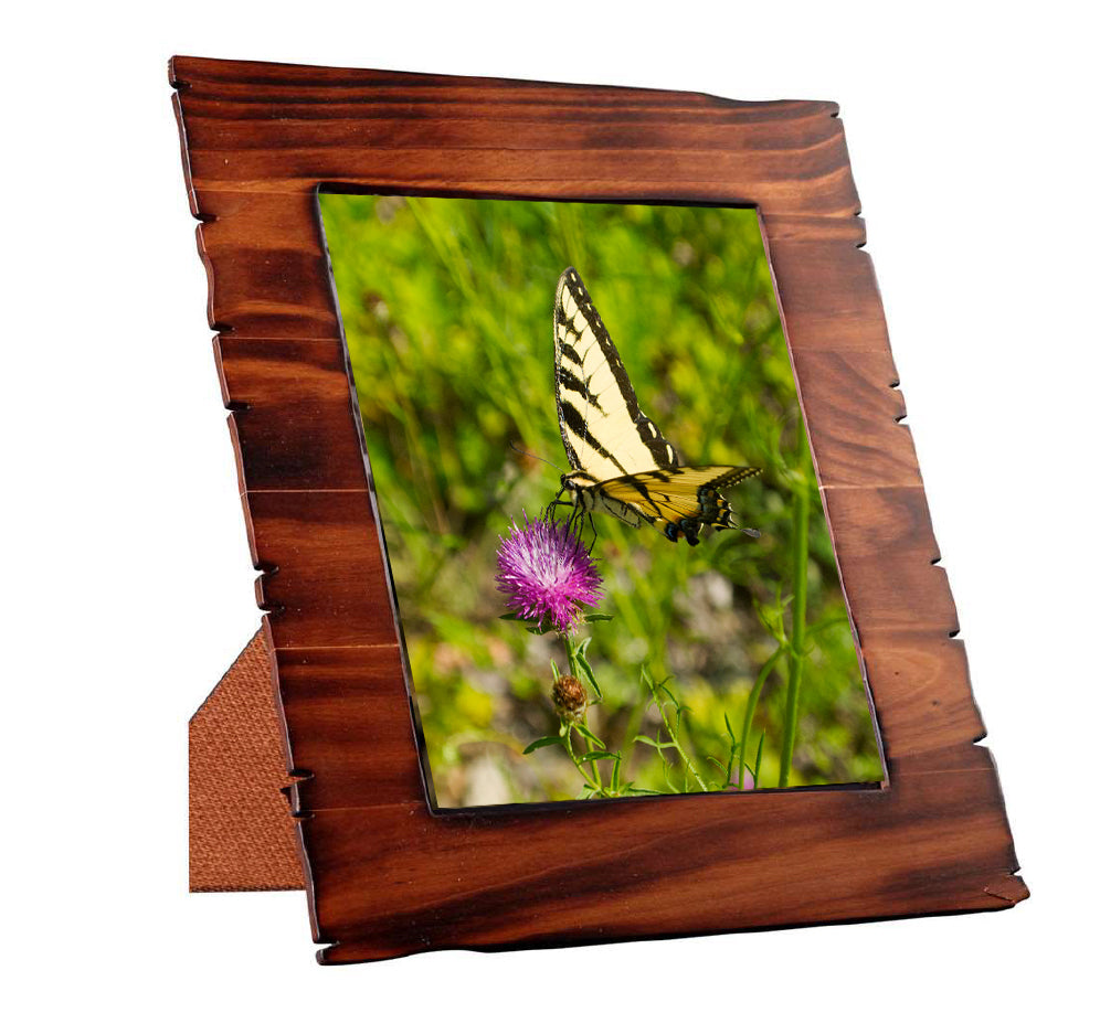 Framed Art Prints from a Secret Paradise image 0