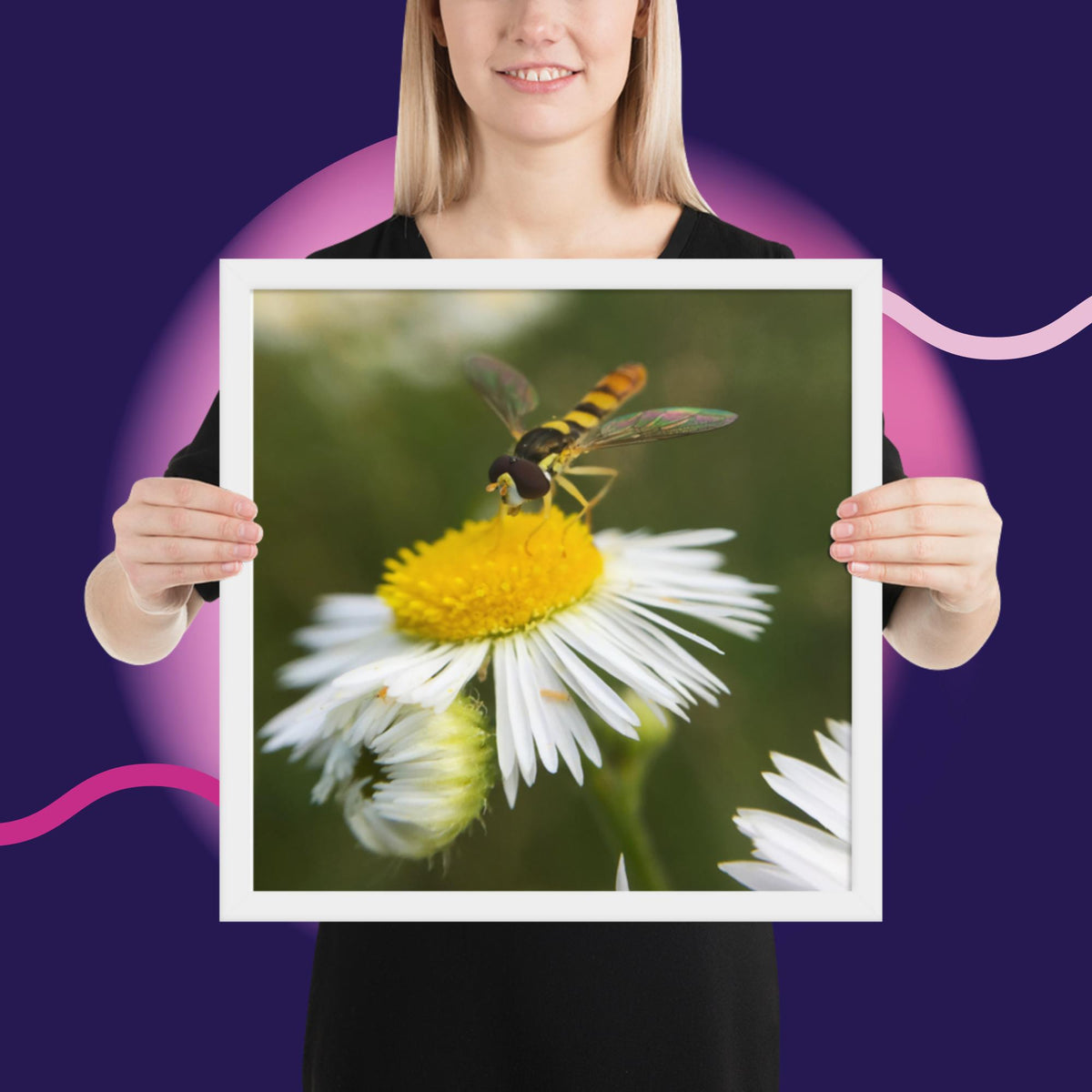 Framed poster image 19