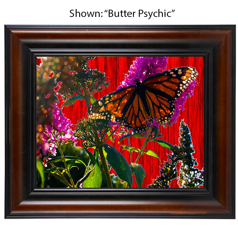 Framed Art Prints from a Secret Paradise image 0