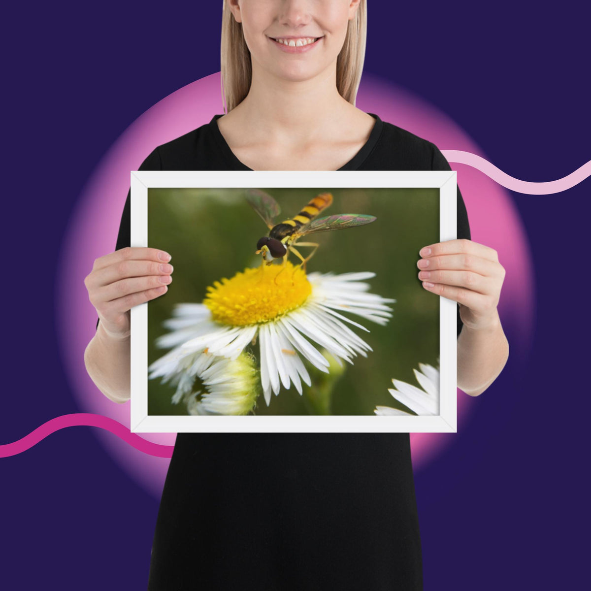 Framed poster image 14