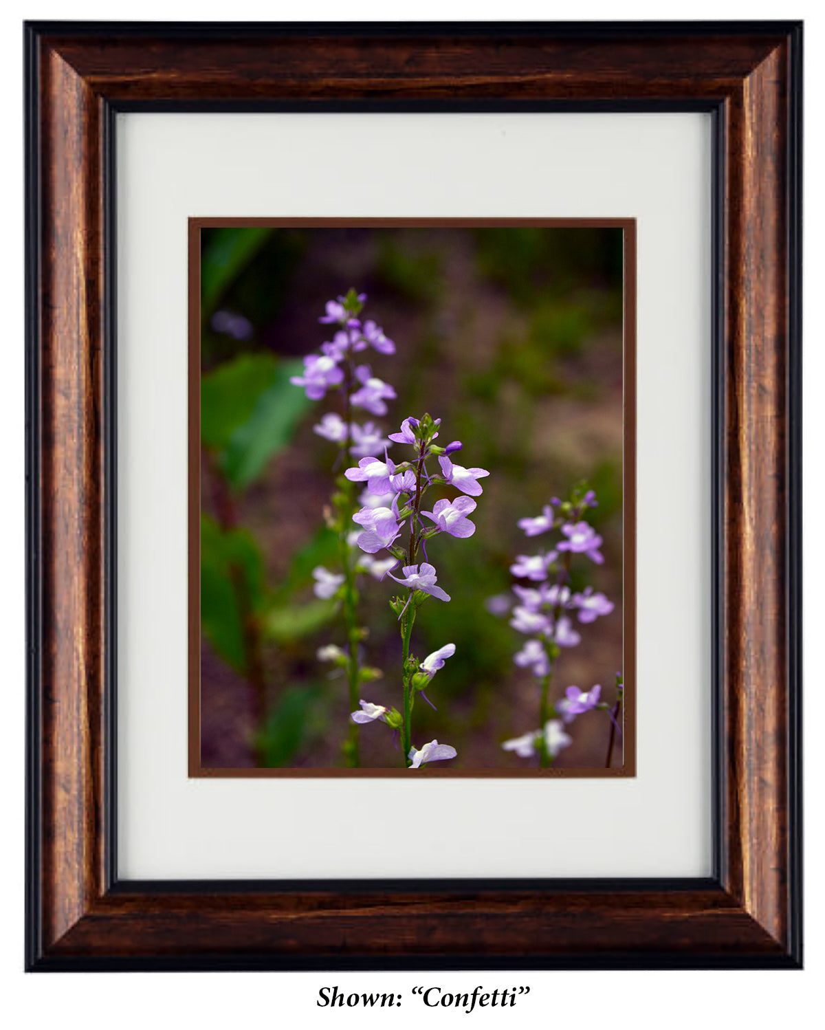 Framed Art Prints from a Secret Paradise image 0