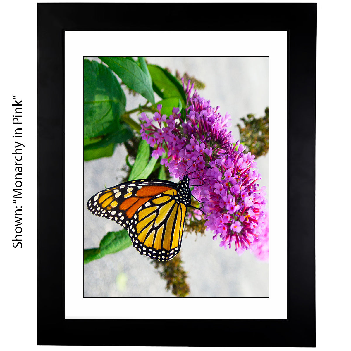 Framed Art Prints from a Secret Paradise image 0