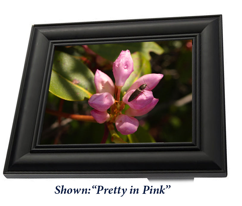 Framed Art Prints from a Secret Paradise image 0