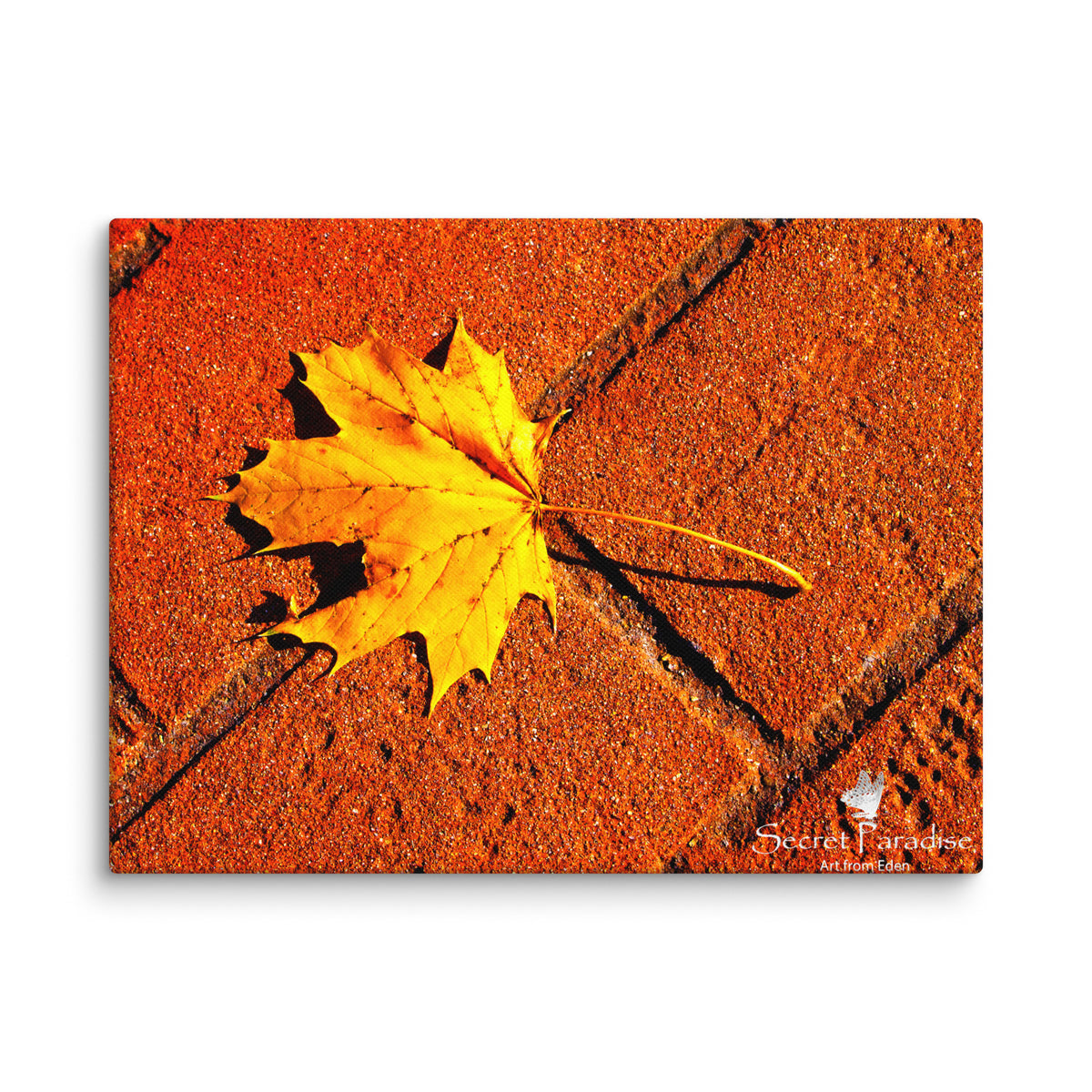 Canvas image 12