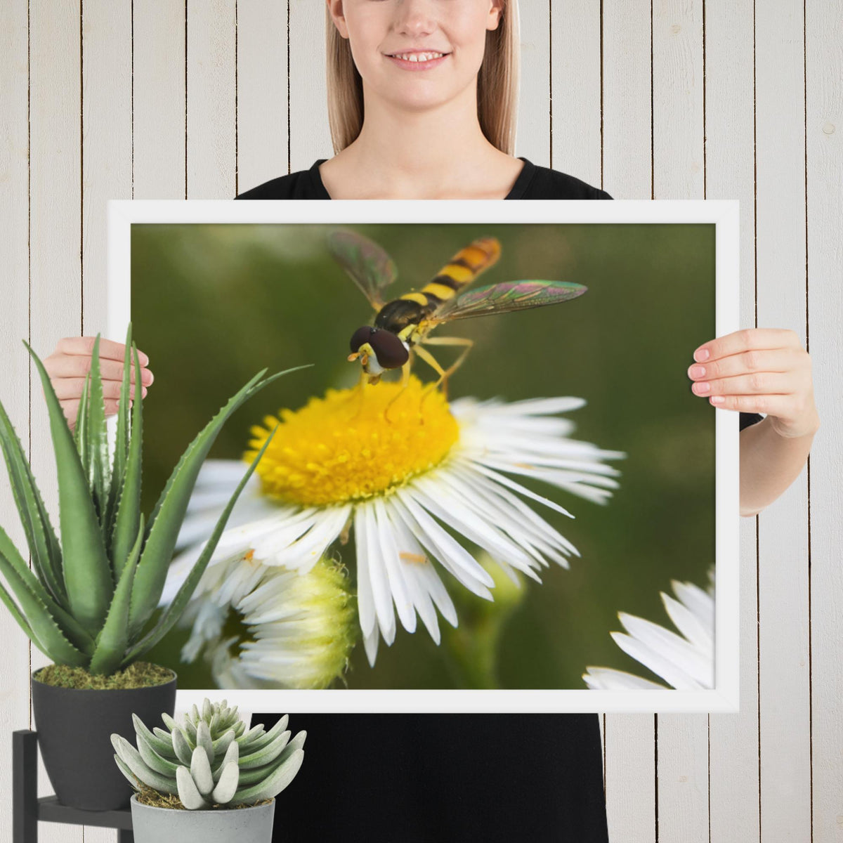 Framed poster image 9