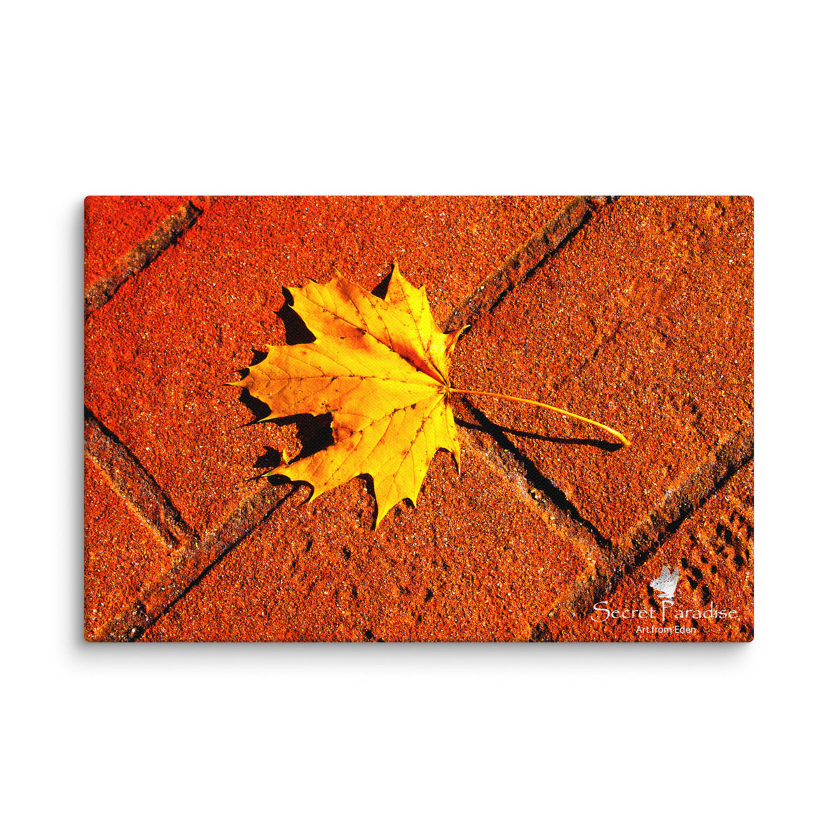 Canvas image 4