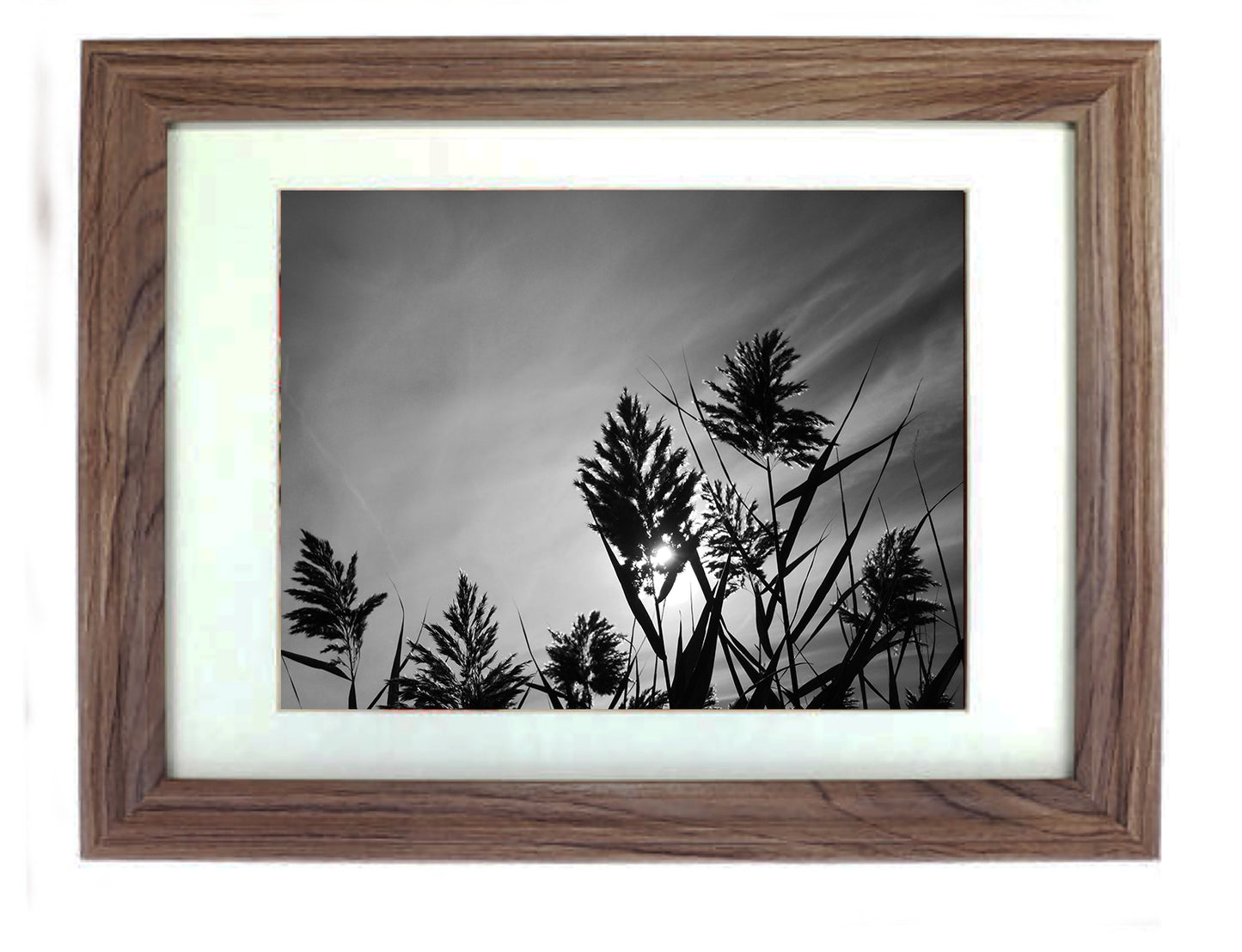 Art Prints from a Secret Paradise image 0