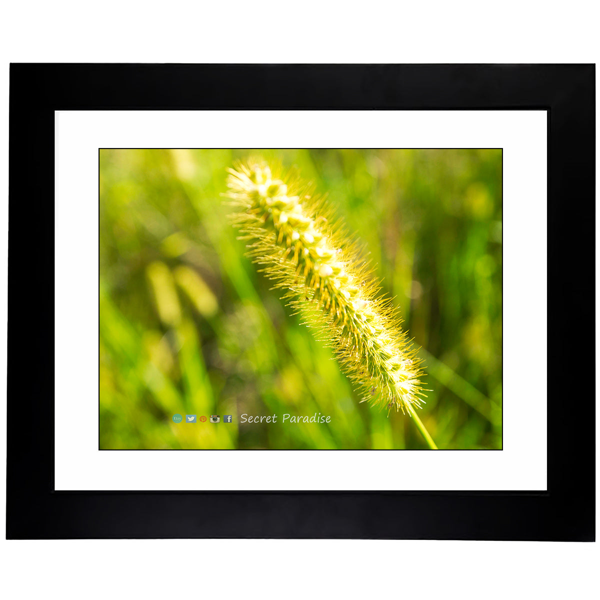Framed Art Prints from a Secret Paradise image 0