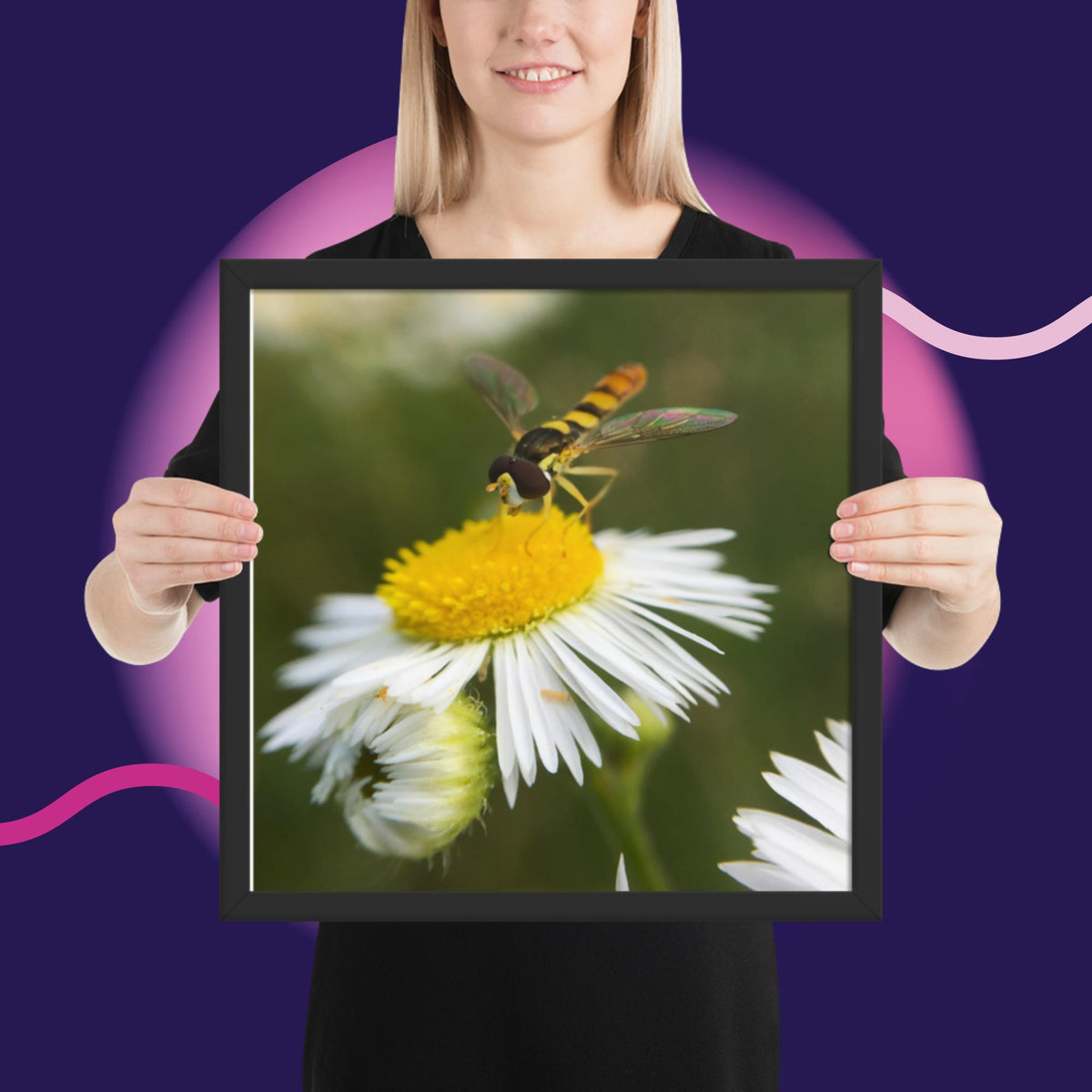 Framed poster image 8